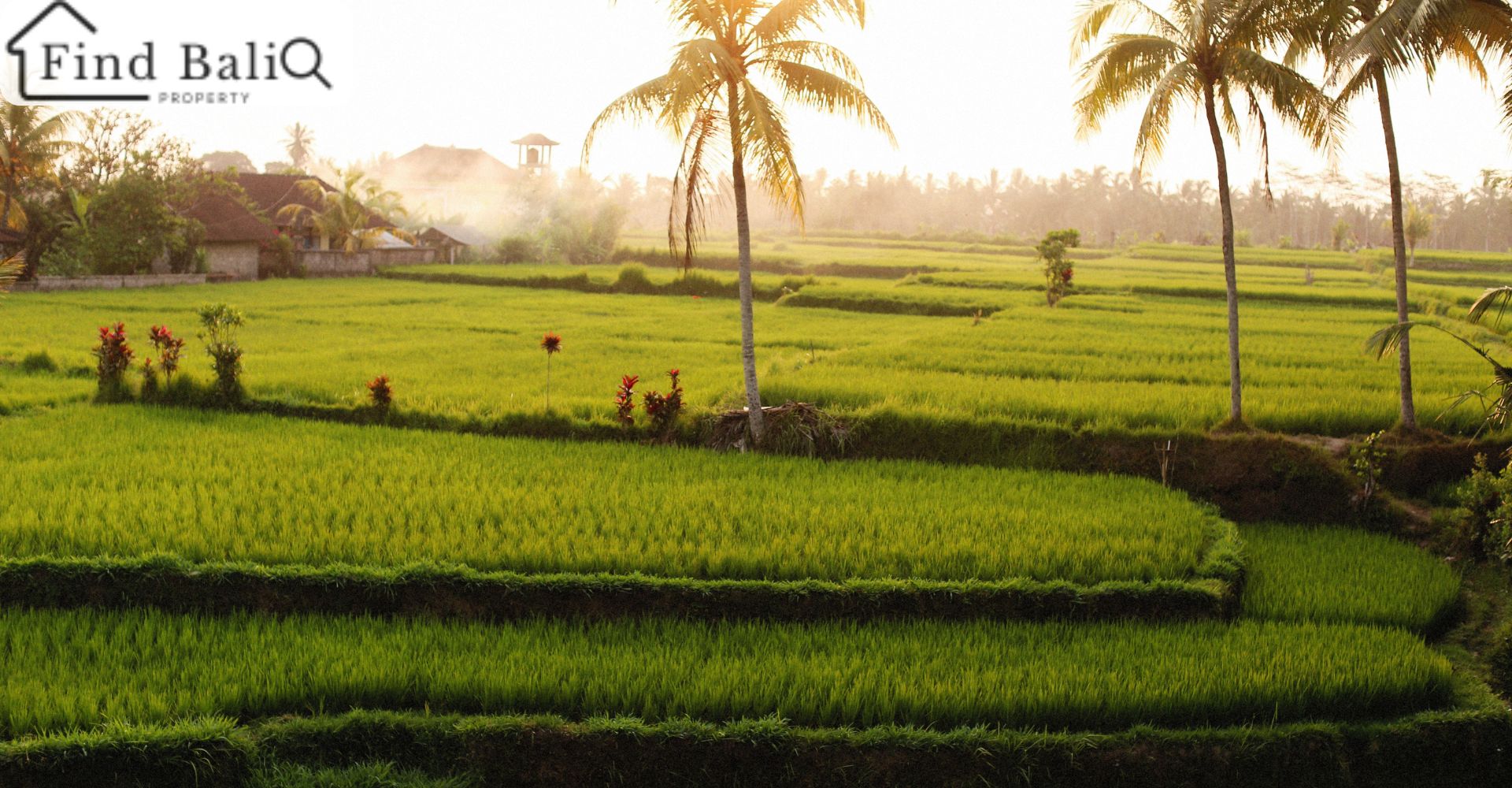 Buying Land in Bali